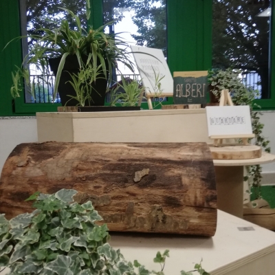 NUOVI AMBIENTI